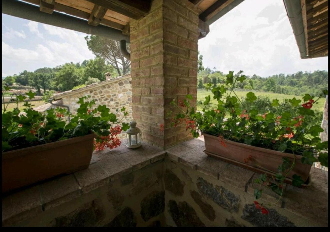 Casetta Della Pina Monticiano Exterior foto